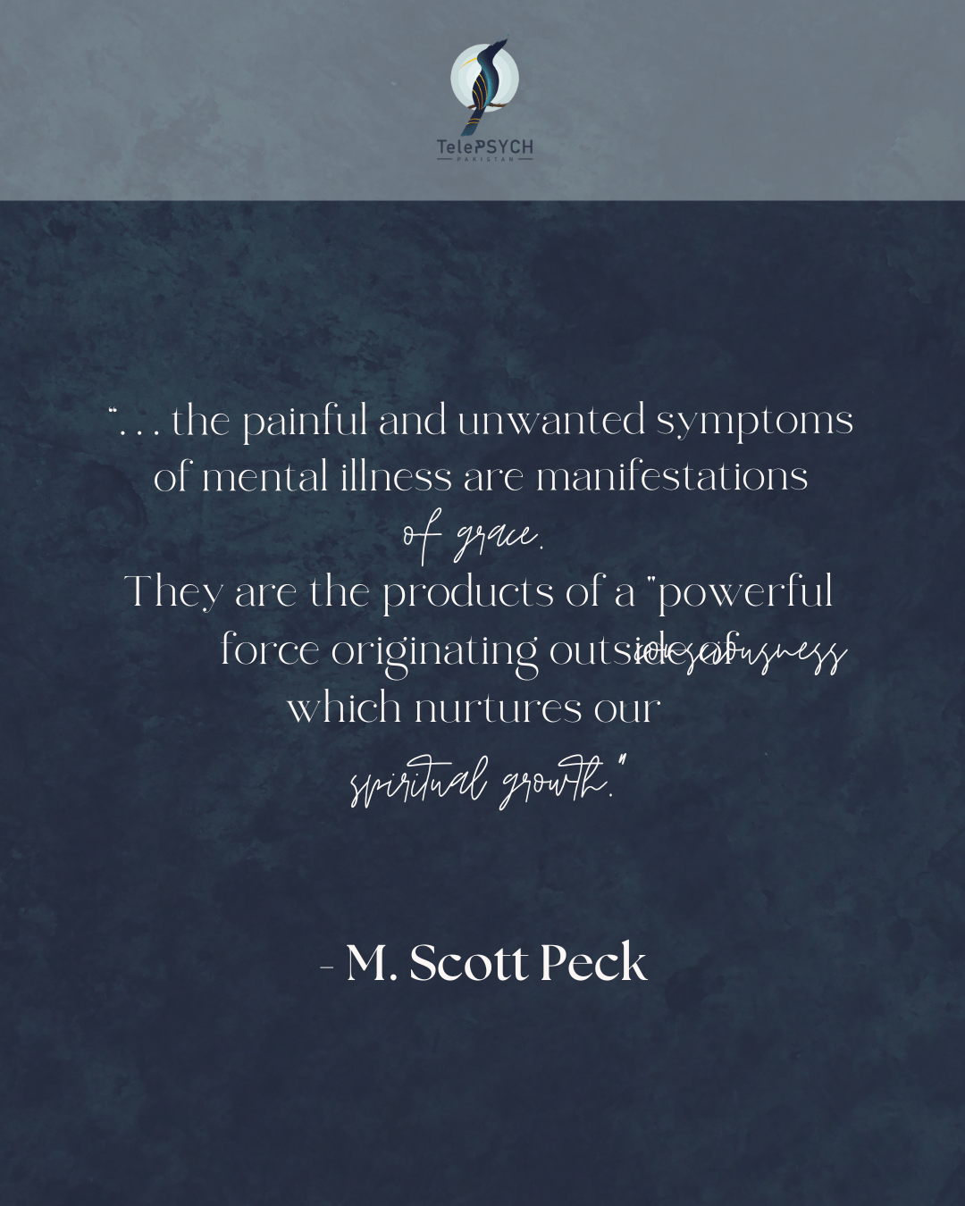 Mental health therapy session notes