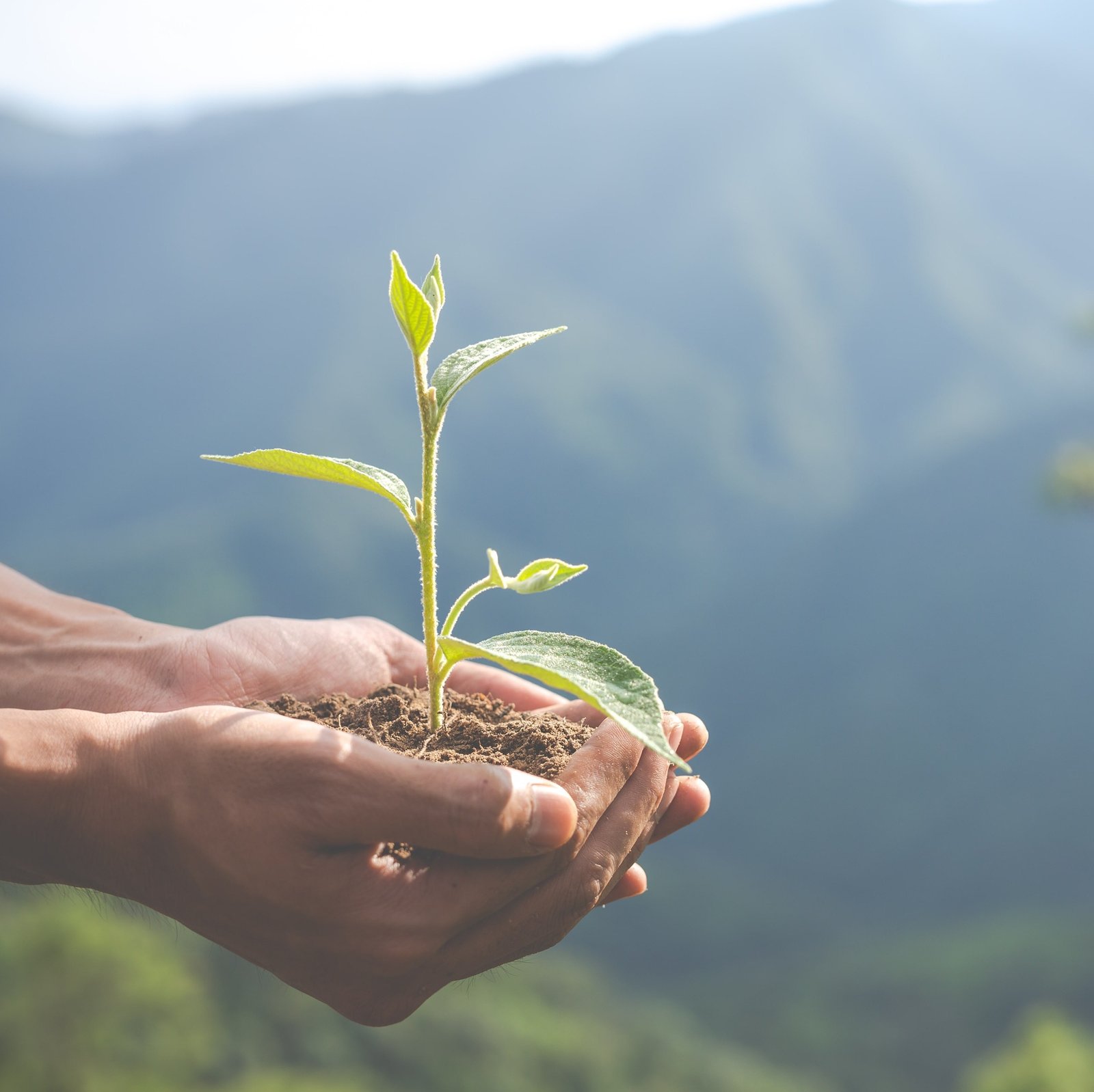 Community Support and Sponsored Sessions