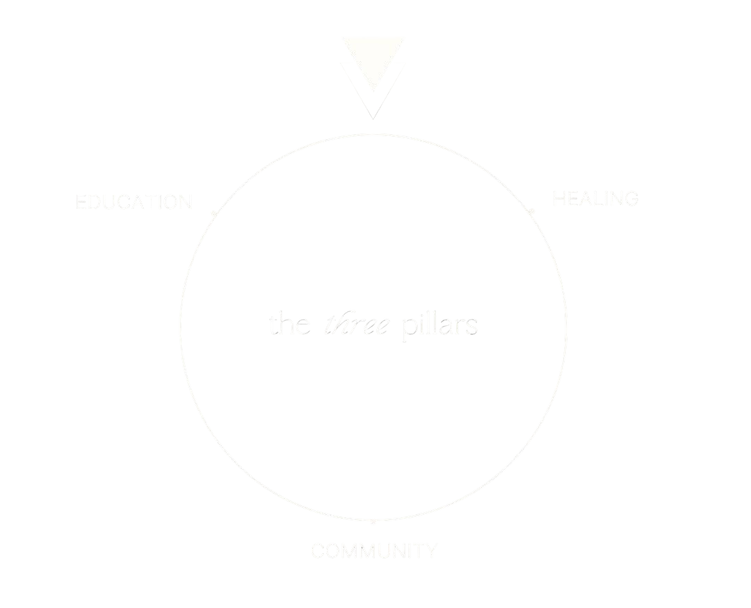 Three Pillars: Education, Healing, Community